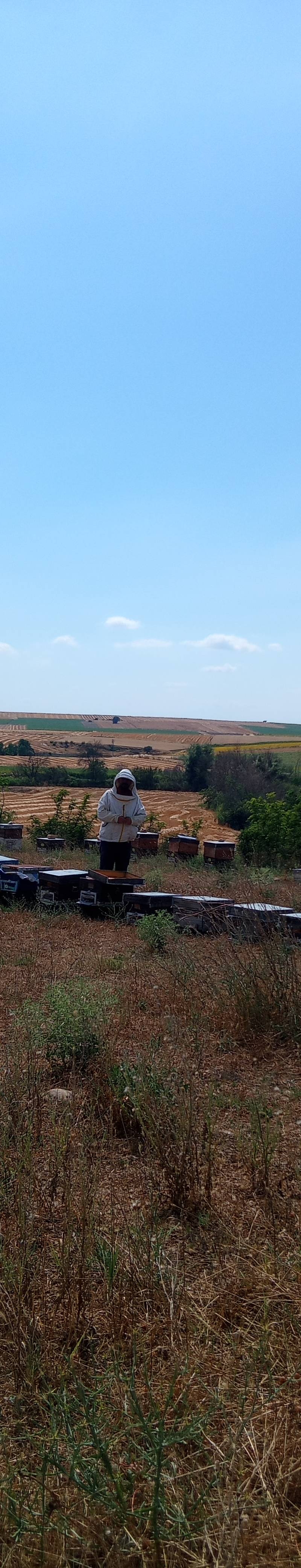 Isıl işlem görmemiş gerçek ham ballar, havalar soğuduğunda krema kıvamına gelerek kristalleşebilir (donabilir). Bu durum balın sahte olduğunu değil, aksine tamamen doğal ve canlı bir bal olduğunu gösteren en büyük kanıttır. Bu haliyle tüketebilir veya sıcak su dolu bir kapta (benmari usulü) çözdürebilirsiniz.

💰 Sınırlı Dönem Fiyatı: 450 TL
Gerçek arıcılık emeğine, doğanın saf şifasına bu sezon bitmeden sofranızda yer açın.

👉 Hemen Sipariş Vermek İçin İletişime Geçin.